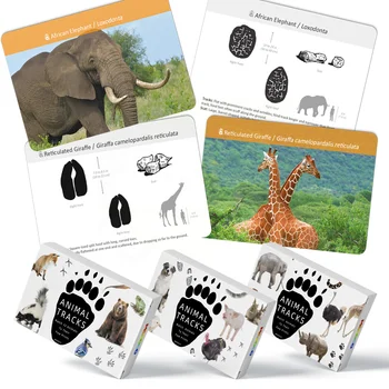 Montessori materyalleri Dil Malzemesi Hayvan Eşleştirme Flash Kartlar Oyuncaklar 3 Yaşındakiler İçin Öğretim Yardım Oyuncaklar Çocuklar İçin D65Y
